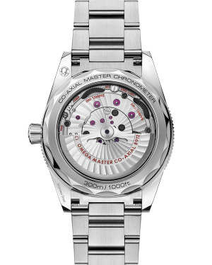 omega-seamaster-300-co-axial-master-chronometer-41-mm-23430412103001-portrait-1-b203f1.png