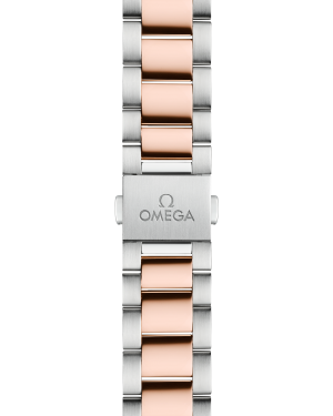 omega-seamaster-aqua-terra-150m-co-axial-master-chronometer-34-mm-22020342060001-portrait-2-1cb021.png