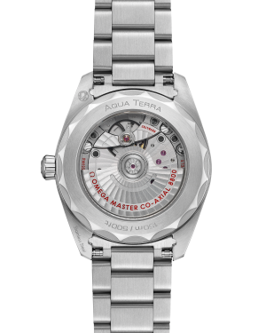 omega-seamaster-aqua-terra-150m-co-axial-master-chronometer-38-mm-22010382010003-portrait-1-9172d6.png