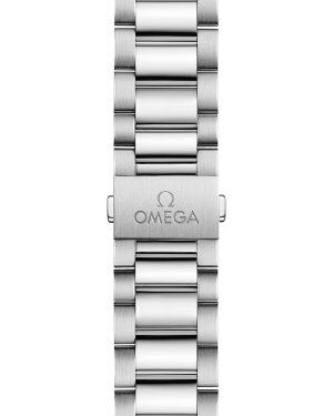 omega-seamaster-aqua-terra-150m-co-axial-master-chronometer-38-mm-22010382010003-portrait-4-545c03.png