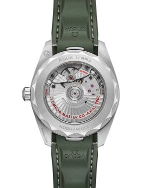 omega-seamaster-aqua-terra-150m-co-axial-master-chronometer-38-mm-22012382010001-portrait-1-754897.png