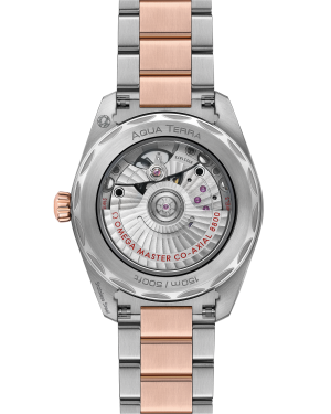 omega-seamaster-aqua-terra-150m-co-axial-master-chronometer-38-mm-22020382003001-portrait-1-32a7dd.png