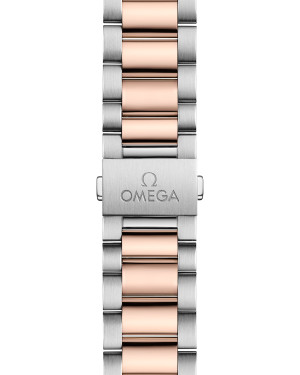 omega-seamaster-aqua-terra-150m-co-axial-master-chronometer-38-mm-22020382003001-portrait-2-df108d.png