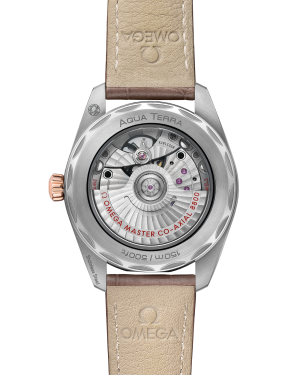 omega-seamaster-aqua-terra-150m-co-axial-master-chronometer-38-mm-22023382006001-portrait-1-d595a0.png