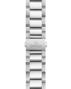 omega-seamaster-aqua-terra-150m-co-axial-master-chronometer-41-mm-22010412101001-portrait-1-83bcec.png