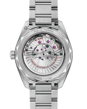 omega-seamaster-aqua-terra-150m-co-axial-master-chronometer-41-mm-22010412103004-portrait-1-e8636a.png