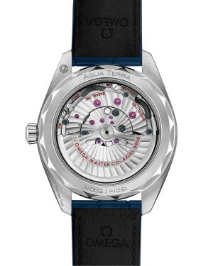 omega-seamaster-aqua-terra-150m-co-axial-master-chronometer-41-mm-22013412103003-portrait-1-b74daa.png