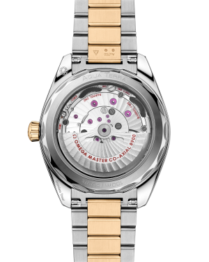 omega-seamaster-aqua-terra-150m-co-axial-master-chronometer-41-mm-22020412101001-portrait-1-6ffcfd.png