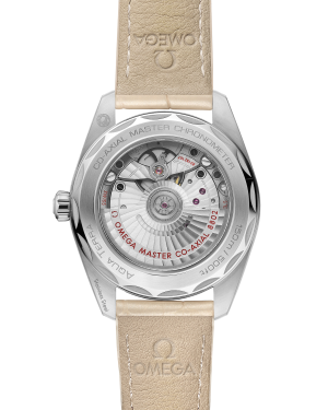 omega-seamaster-aqua-terra-150m-co-axial-master-chronometer-small-seconds-38-mm-22013382009001-portrait-1-ad9c47.png