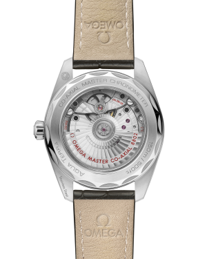 omega-seamaster-aqua-terra-150m-co-axial-master-chronometer-small-seconds-38-mm-22013382060001-portrait-1-f07ee7.png