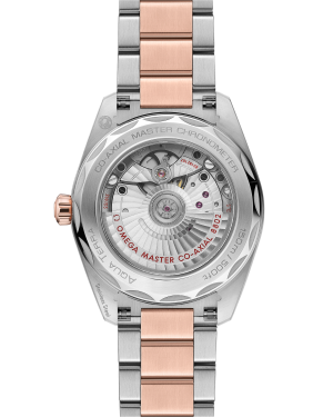 omega-seamaster-aqua-terra-150m-co-axial-master-chronometer-small-seconds-38-mm-22020382010001-portrait-1-4f4669.png