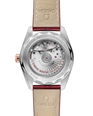 omega-seamaster-aqua-terra-150m-co-axial-master-chronometer-small-seconds-38-mm-22023382059001-portrait-1-9ec996.png