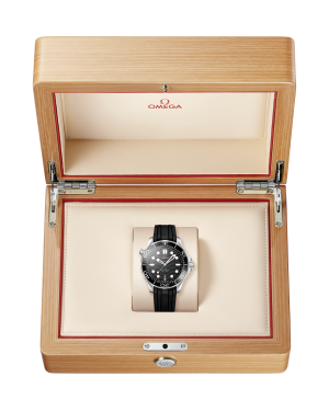 omega-seamaster-diver-300m-co-axial-master-chronometer-42-mm-21032422001001-portrait-3-c88f6b.png