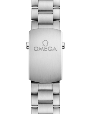 omega-seamaster-planet-ocean-600m-co-axial-master-chronometer-39-5-mm-21530402001001-portrait-1-0cd73b.png