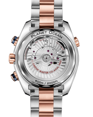 omega-seamaster-planet-ocean-600m-co-axial-master-chronometer-chronograph-45-5-mm-21520465103001-portrait-1-9eb156.png