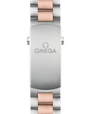 omega-seamaster-planet-ocean-600m-co-axial-master-chronometer-chronograph-45-5-mm-21520465103001-portrait-2-c2f03b.png