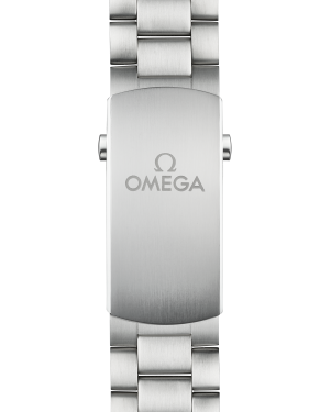 omega-seamaster-planet-ocean-600m-co-axial-master-chronometer-chronograph-45-5-mm-21530465101001-portrait-1-9b046c.png